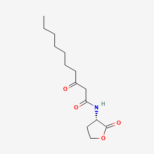 molecular formula C14H23NO4 B3026017 N-(3-oxodecanoyl)-L-homoserine lactone CAS No. 147795-40-2