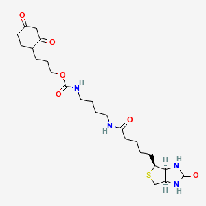 molecular formula C24H38N4O6S B3026048 DCP-Bio3 