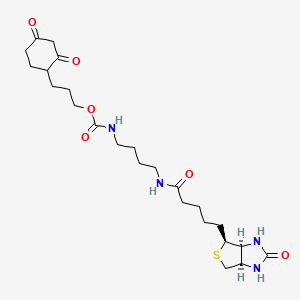 N-[4-[[5-[(3aS,4S,6aR)-hexahydro-2-oxo-1H-thieno[3,4-d]imidazol-4-yl]-1-oxopentyl]amino]butyl]-carbamic acid, 3-(2,4-dioxocyclohexyl)propyl ester