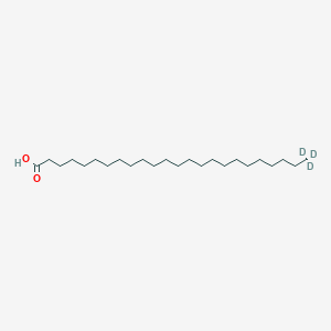 Tetracosanoic-24,24,24-d3 acid