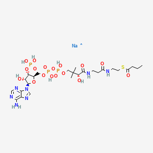 molecular formula C25H42N7NaO17P3S B3026173 S-butanoate coenzyme A, monosodium salt CAS No. 125527-24-4