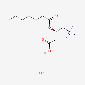 molecular formula C14H28ClNO4 B3026200 (R)-3-carboxy-N,N,N-trimethyl-2-[(1-oxoheptyl)oxy]-1-propanaminium, monochloride CAS No. 162041-08-9
