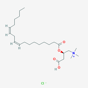 molecular formula C25H46ClNO4 B3026240 Linoleoyl-L-carnitine chloride 