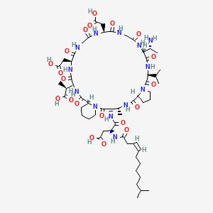 molecular formula C57H89N13O20 B3026394 N-[(3Z)-10-methyl-1-oxo-3-undecen-1-yl]-L-alpha-aspartyl-(2S,3R)-2,3-diaminobutanoyl-(2R)-2-piperidinecarbonyl-(3S)-3-methyl-L-alpha-aspartyl-L-alpha-aspartylglycyl-L-alpha-aspartylglycyl-(2R,3R)-2,3-diaminobutanoyl-L-valyl-L-proline (11-->2)-lactam 