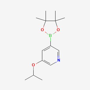 molecular formula C14H22BNO3 B3026882 3-Isopropoxy-5-(4,4,5,5-tetramethyl-1,3,2-dioxaborolan-2-YL)pyridine CAS No. 1171892-42-4
