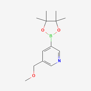B3026891 3-(Methoxymethyl)-5-(4,4,5,5-tetramethyl-1,3,2-dioxaborolan-2-yl)pyridine CAS No. 1174766-05-2