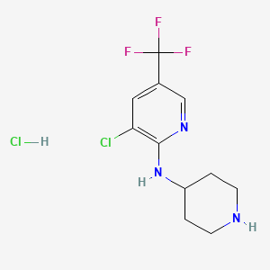 molecular formula C11H14Cl2F3N3 B3026909 3-Chloro-N-(piperidin-4-yl)-5-(trifluoromethyl)pyridin-2-amine hydrochloride CAS No. 1185315-66-5
