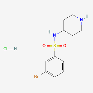 molecular formula C11H16BrClN2O2S B3027156 3-Bromo-N-(piperidin-4-yl)benzenesulfonamide hydrochloride CAS No. 1233958-23-0