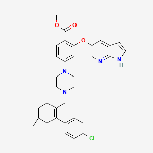 molecular formula C34H37ClN4O3 B3027178 Methyl 2-[(1H-pyrrolo[2,3-b]pyridin-5-yl)oxy]-4-[4-[[2-(4-chlorophenyl)-4,4-dimethylcyclohex-1-enyl]methyl]piperazin-1-yl]benzoate CAS No. 1235865-76-5