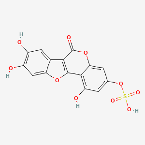 molecular formula C15H8O10S B3027529 Demethylwedelolactone Sulfate 