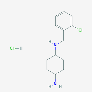 molecular formula C13H20Cl2N2 B3027675 N1-(2-Chlorobenzyl)cyclohexane-1,4-diamine hydrochloride CAS No. 1353985-18-8