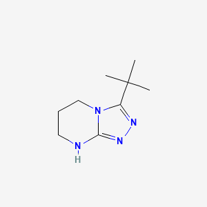 B3027724 3-tert-Butyl-5H,6H,7H,8H-[1,2,4]triazolo-[4,3-a]pyrimidine CAS No. 1365988-03-9