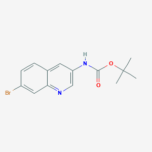 molecular formula C14H15BrN2O2 B3027987 Tert-butyl 7-bromoquinolin-3-ylcarbamate CAS No. 1447607-37-5