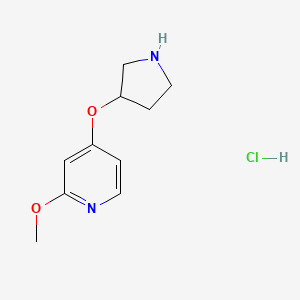 molecular formula C10H15ClN2O2 B3028216 2-Methoxy-4-(pyrrolidin-3-yloxy)pyridine hydrochloride CAS No. 1707602-53-6