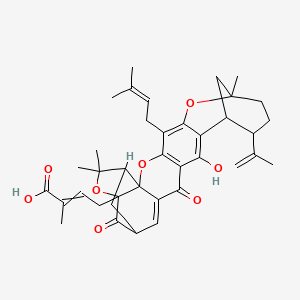 molecular formula C38H44O8 B3028229 4-[14-Hydroxy-8,23,23-trimethyl-5-(3-methylbut-2-enyl)-16,20-dioxo-11-prop-1-en-2-yl-3,7,22-trioxaheptacyclo[17.4.1.18,12.02,17.02,21.04,15.06,13]pentacosa-4(15),5,13,17-tetraen-21-yl]-2-methylbut-2-enoic acid CAS No. 173867-04-4