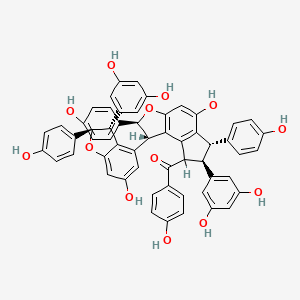 molecular formula C56H42O13 B3028232 Caraganaphenol A CAS No. 174916-31-5