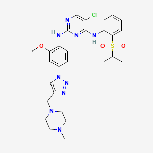 molecular formula C28H34ClN9O3S B3028517 WY-135 CAS No. 2163060-83-9
