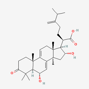 molecular formula C31H46O5 B3028620 6alpha-Hydroxypolyporenic acid C CAS No. 24513-63-1
