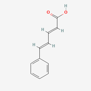 molecular formula C11H10O2 B3028701 beta-Styrylacrylic acid CAS No. 28010-12-0