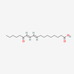 13-Oxo-9E,11E-octadecadienoic acid