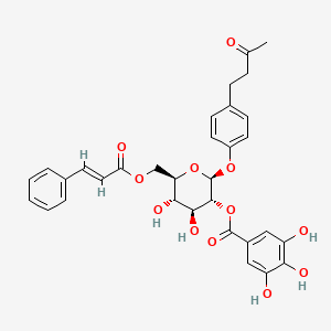molecular formula C32H32O12 B3028848 [(2S,3R,4S,5S,6R)-4,5-Dihydroxy-2-[4-(3-oxobutyl)phenoxy]-6-[[(E)-3-phenylprop-2-enoyl]oxymethyl]oxan-3-yl] 3,4,5-trihydroxybenzoate CAS No. 356517-93-6