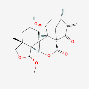 molecular formula C21H28O6 B3028873 6-Epiangustifolin 