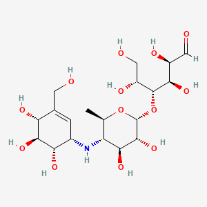 B3029497 Acarviosine-glucose CAS No. 68128-53-0