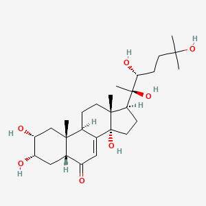 molecular formula C27H44O7 B3029556 Rhapontisterone B 