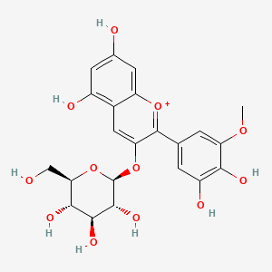 B3029599 Petunidin 3-glucoside CAS No. 71991-88-3