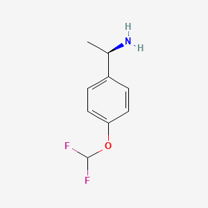 B3030027 (aR)-4-(Difluoromethoxy)-a-methyl-benzenemethanamine CAS No. 856758-57-1