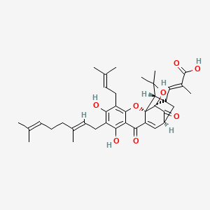 molecular formula C38H46O8 B3030339 Isogambogenic acid 