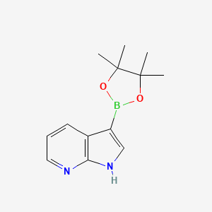 B3030717 3-(4,4,5,5-tetramethyl-1,3,2-dioxaborolan-2-yl)-1H-pyrrolo[2,3-b]pyridine CAS No. 945256-29-1