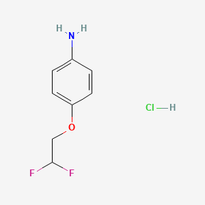 [4-(2,2-Difluoroethoxy)phenyl]amine hydrochloride