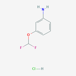 3-(Difluoromethoxy)aniline hydrochloride