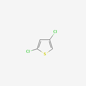 molecular formula C4H2Cl2S B3031161 2,4-dichlorothiophene CAS No. 17249-75-1