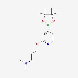 molecular formula C16H27BN2O3 B3032263 N,N-Dimethyl-3-((4-(4,4,5,5-tetramethyl-1,3,2-dioxaborolan-2-yl)pyridin-2-yl)oxy)propan-1-amine CAS No. 1346697-33-3