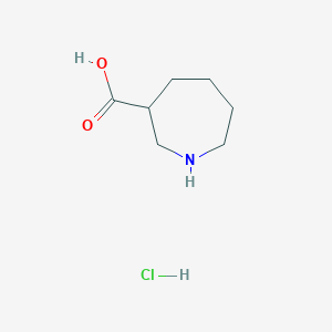 molecular formula C7H14ClNO2 B3032493 Azepane-3-carboxylic acid HCl CAS No. 2007916-48-3