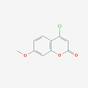 molecular formula C10H7ClO3 B3033508 4-Chloro-7-methoxy-2H-chromen-2-one CAS No. 103676-94-4