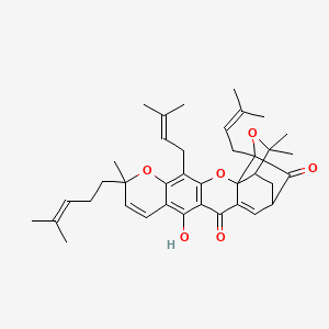 molecular formula C38H46O6 B3034426 Gambogin CAS No. 173792-67-1