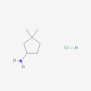 B3034724 3,3-Dimethylcyclopentan-1-amine hydrochloride CAS No. 212382-62-2
