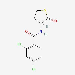 molecular formula C11H9Cl2NO2S B3035472 2,4-dichloro-N-(2-oxothiolan-3-yl)benzamide CAS No. 321521-86-2