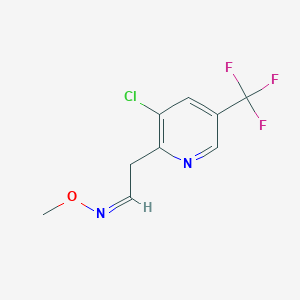 molecular formula C9H8ClF3N2O B3036133 2-[3-chloro-5-(trifluoromethyl)-2-pyridinyl]acetaldehyde O-methyloxime CAS No. 338978-49-7