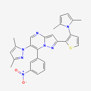molecular formula C27H23N7O2S B3039051 6-(3,5-Dimethylpyrazol-1-yl)-2-[3-(2,5-dimethylpyrrol-1-yl)thiophen-2-yl]-7-(3-nitrophenyl)pyrazolo[1,5-a]pyrimidine CAS No. 956181-70-7