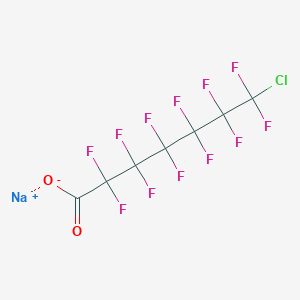 molecular formula C7ClF12NaO2 B3039842 Sodium 7-chloroperfluoroheptanoate CAS No. 136176-46-0