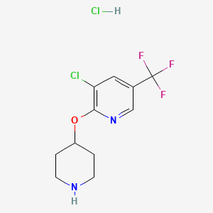 3-Chloro-2-(piperidin-4-yloxy)-5-(trifluoromethyl)pyridine hydrochloride