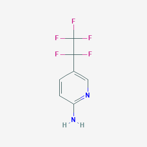 molecular formula C7H5F5N2 B3039975 5-(Pentafluoroethyl)pyridin-2-amine CAS No. 1427789-94-3