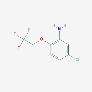 molecular formula C8H7ClF3NO B3040321 5-Chloro-2-(2,2,2-trifluoroethoxy)aniline CAS No. 186387-91-7