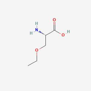 (2S)-2-Amino-3-ethoxypropanoic acid