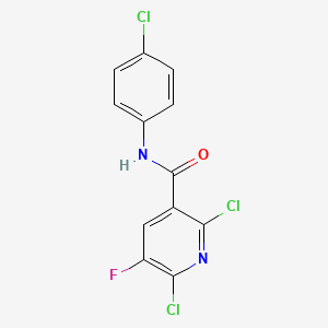 molecular formula C12H6Cl3FN2O B3042932 N-(4-Chlorophenyl)-2,6-dichloro-5-fluoronicotinamide CAS No. 680217-80-5