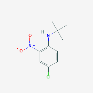 molecular formula C10H13ClN2O2 B3043478 N-tert-butyl-4-chloro-2-nitroaniline CAS No. 874780-68-4